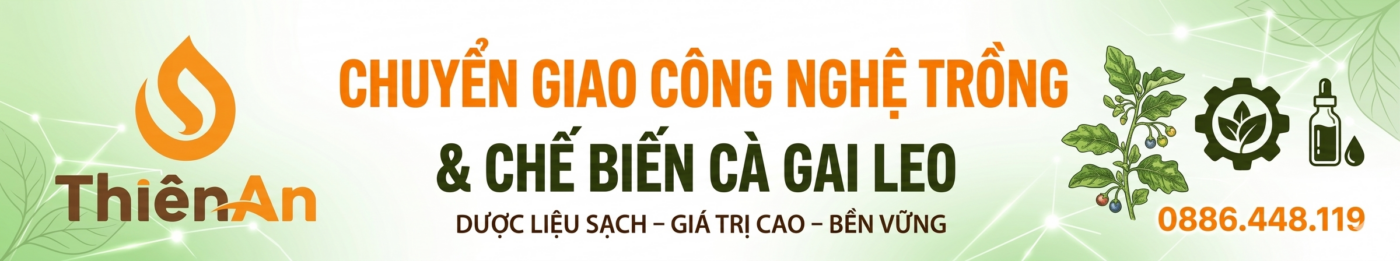 Gemini Generated Image 2757832757832757