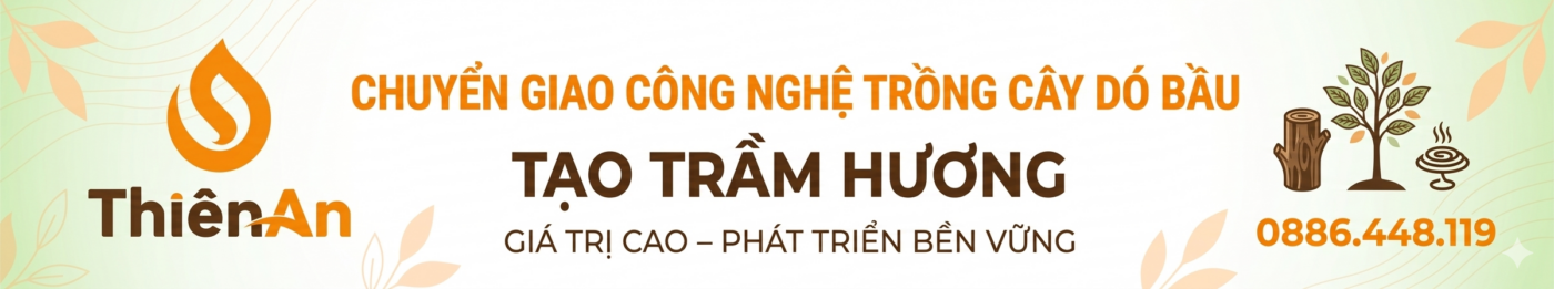 Gemini Generated Image if9h2uif9h2uif9h 1