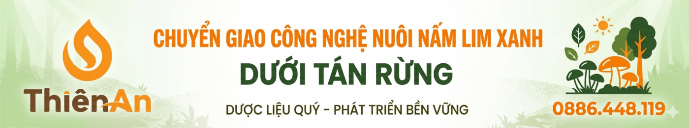 Gemini Generated Image ql65qcql65qcql65