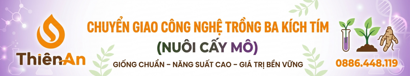 Gemini Generated Image th7vjfth7vjfth7v