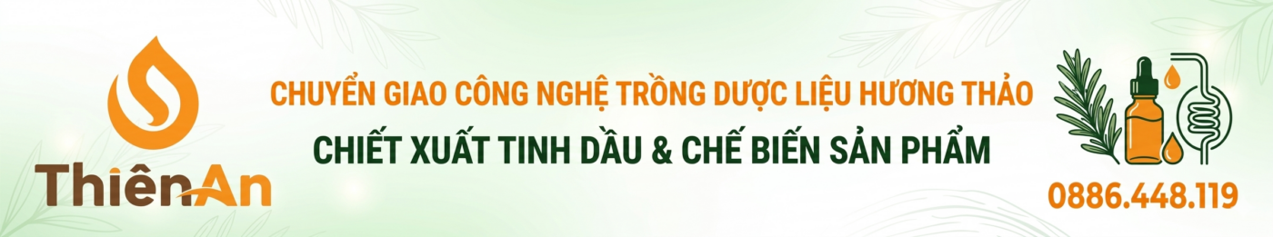 Gemini Generated Image xwm0mpxwm0mpxwm0